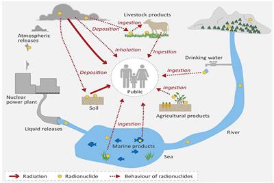 Fishery legislative reform towards Japan’s Fukushima nuclear wastewater discharge into the sea—A Chinese perspective